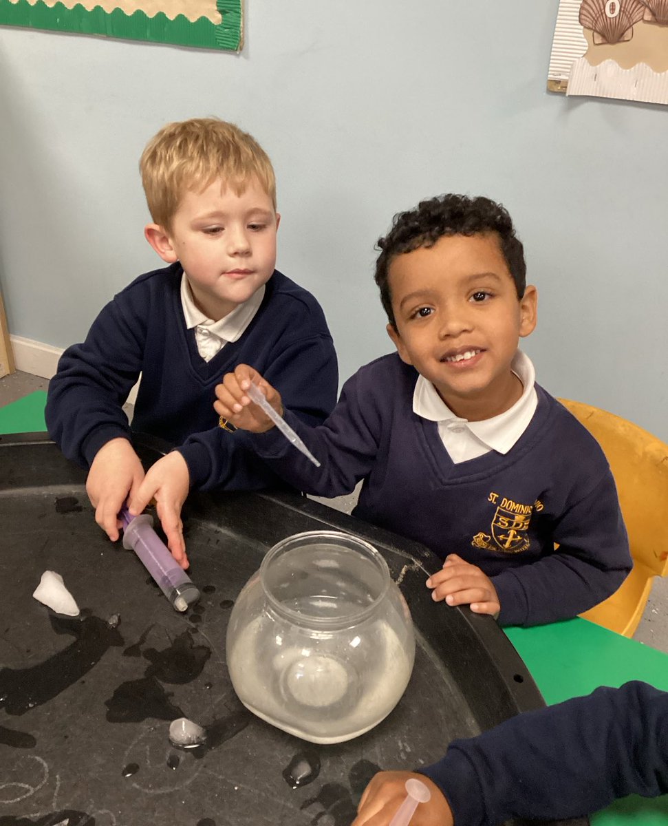 StDomSavioRC's tweet image. After learning about Shackleton, EYFS spent time exploring ice! They enjoyed seeing the different states of solid and liquid and using the pipettes to pick up the water! #EYFS #EYFSScience