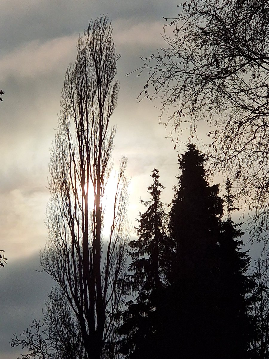 I wish you all a pleasant evening, dear friends.