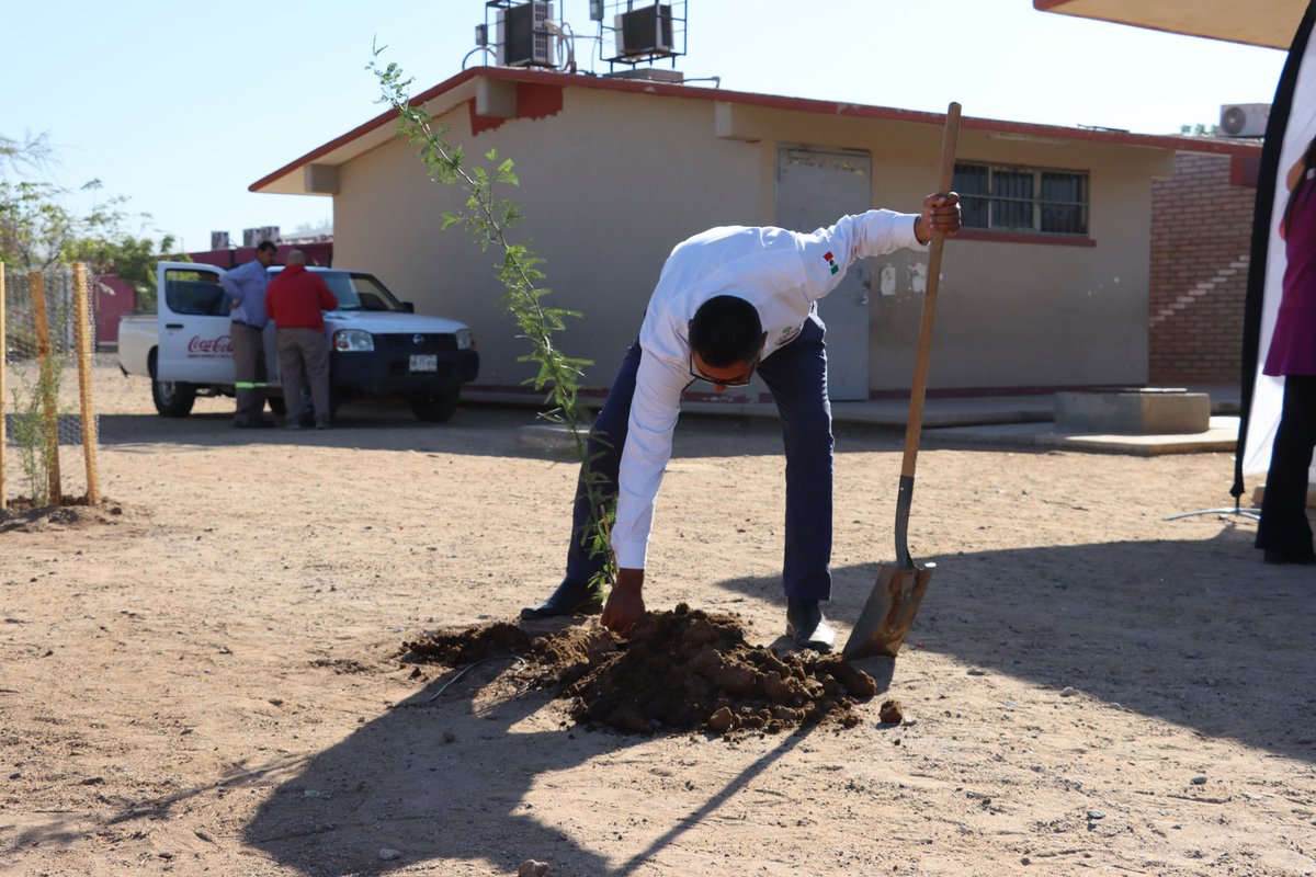 Inauguración de Arborización Escolar
En la Escuela Primaria Hugo Romero Ojeda, realizada en colaboración con ARCA Continental.

Gracias al compromiso del gobernador <a href="/AlfonsoDurazo/">Alfonso Durazo</a> seguimos impulsando acciones que fortalecen la educación ambiental en Sonora. #SeguimosTransformando