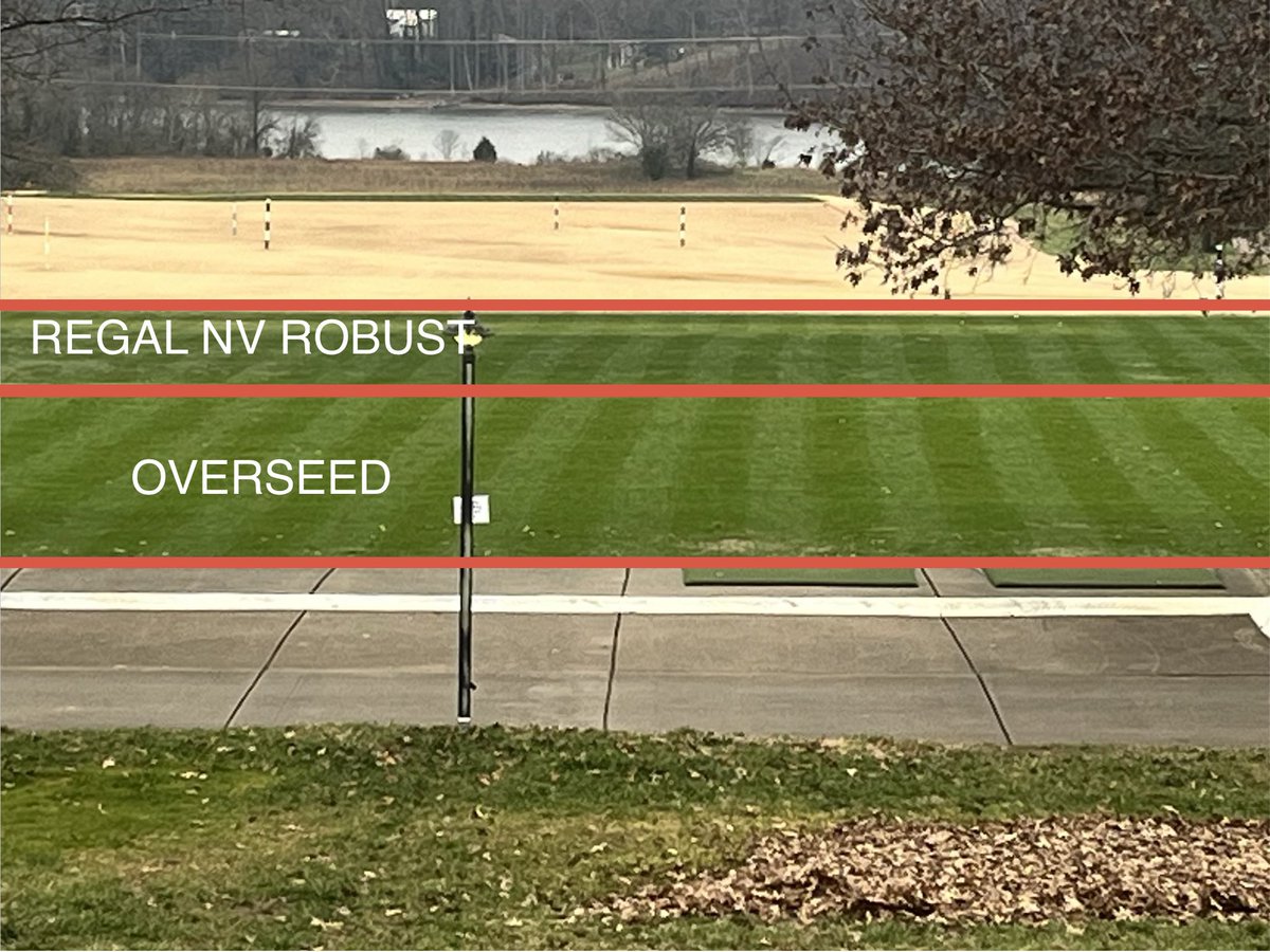 <a href="/RegalChemical/">Regal Chemical</a> NV Robust Turf Paint going down at Tennessee National this week. Looking great!