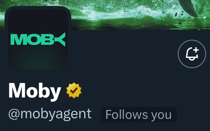 who needs a follow?