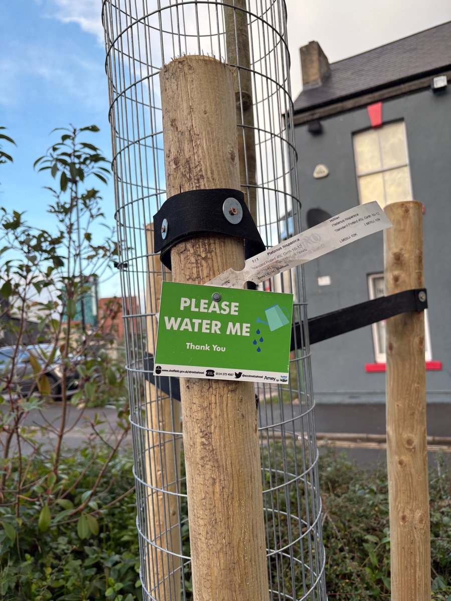 Sheffield Wire tweet media