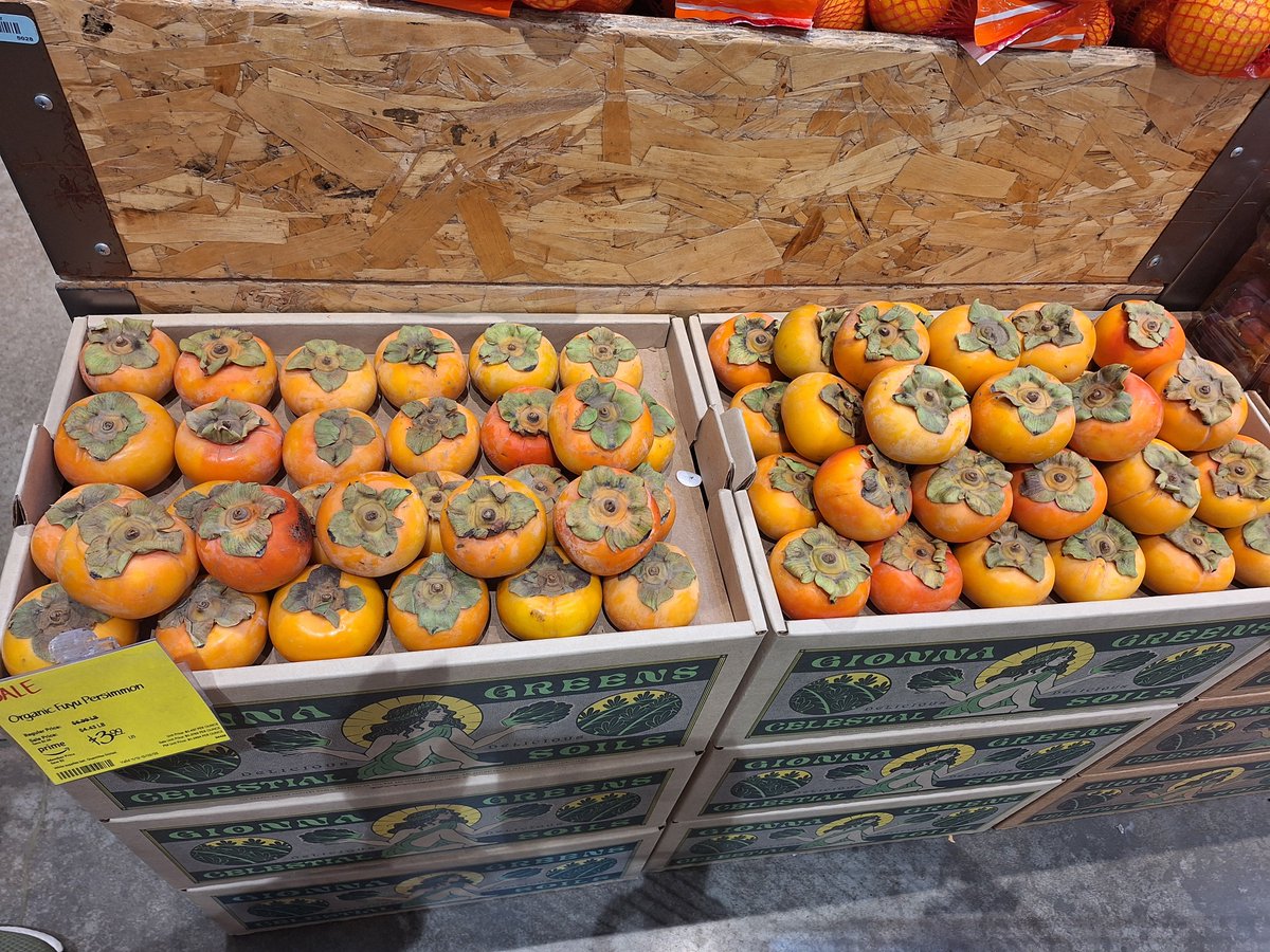 Shelly HW 🏄♀️🐁🐝 (LifeataSwell'sPace) tweet media