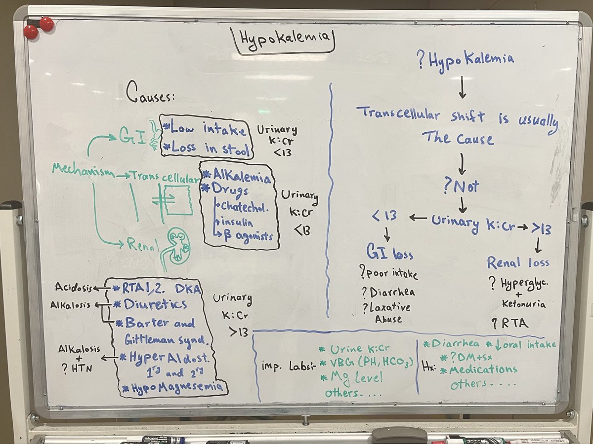 My summery for HypoKalemia.
Mind map for guidance only.

Not a medical advice, might contain some errors.