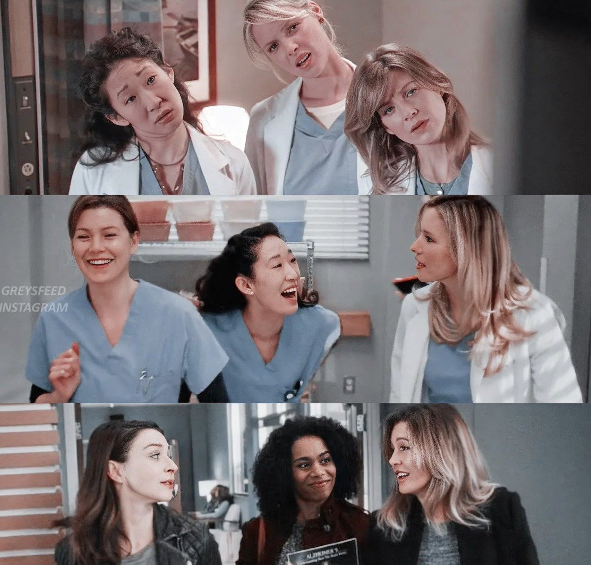 Greys Quotes tweet media