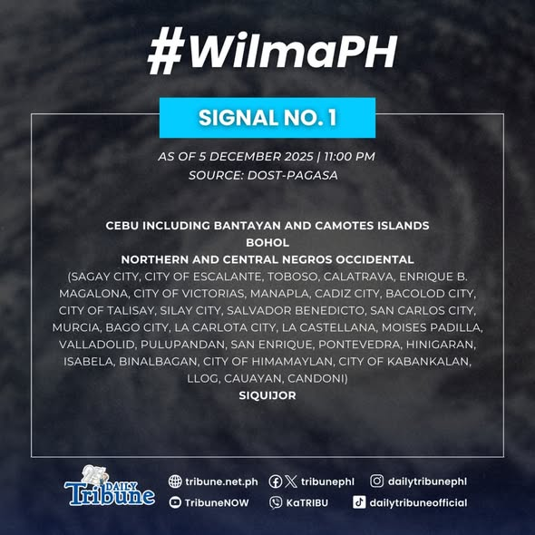 tribunephl's tweet image. WEATHER UPDATE: Wind Signal No. 1 is raised over the following areas due to Tropical Cyclone #WilmaPH, based on PAGASA’s 11 PM weather bulletin this Friday, 5 December 2025. 

#PAGASA #WeatherPH #WilmaPH #DailyTribune