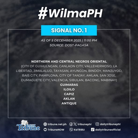 tribunephl's tweet image. WEATHER UPDATE: Wind Signal No. 1 is raised over the following areas due to Tropical Cyclone #WilmaPH, based on PAGASA’s 11 PM weather bulletin this Friday, 5 December 2025. 

#PAGASA #WeatherPH #WilmaPH #DailyTribune