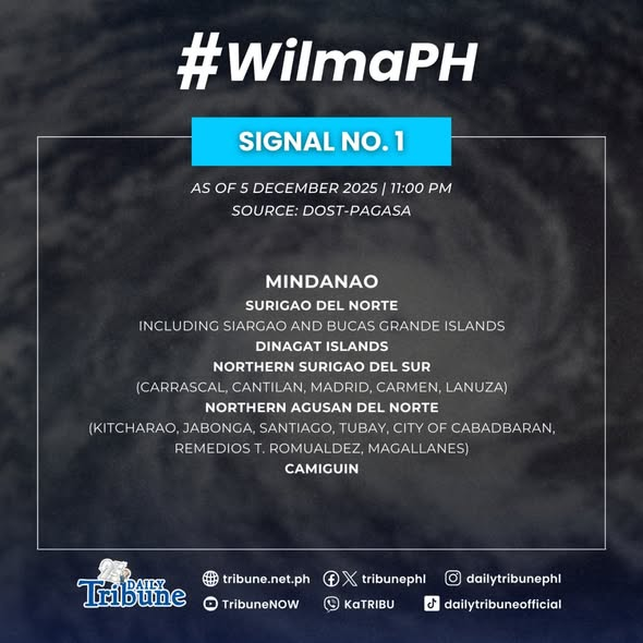 tribunephl's tweet image. WEATHER UPDATE: Wind Signal No. 1 is raised over the following areas due to Tropical Cyclone #WilmaPH, based on PAGASA’s 11 PM weather bulletin this Friday, 5 December 2025. 

#PAGASA #WeatherPH #WilmaPH #DailyTribune