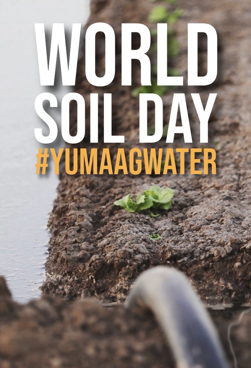 On World Soil Day, we’re reminded that healthy soil is a global responsibility. Here in Yuma, our soil and water stewardship plays a role in feeding families far beyond Arizona. #worldsoilday #yumaagwater💧