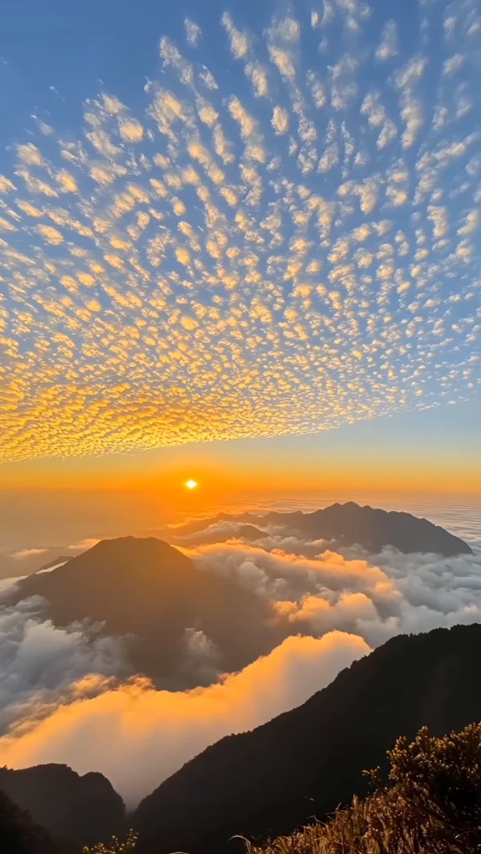 Have a beautiful night 🧡