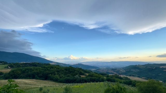 Subhaga Crystal Bacon 🏳️🌈✒️ 🏳️⚧️ tweet media