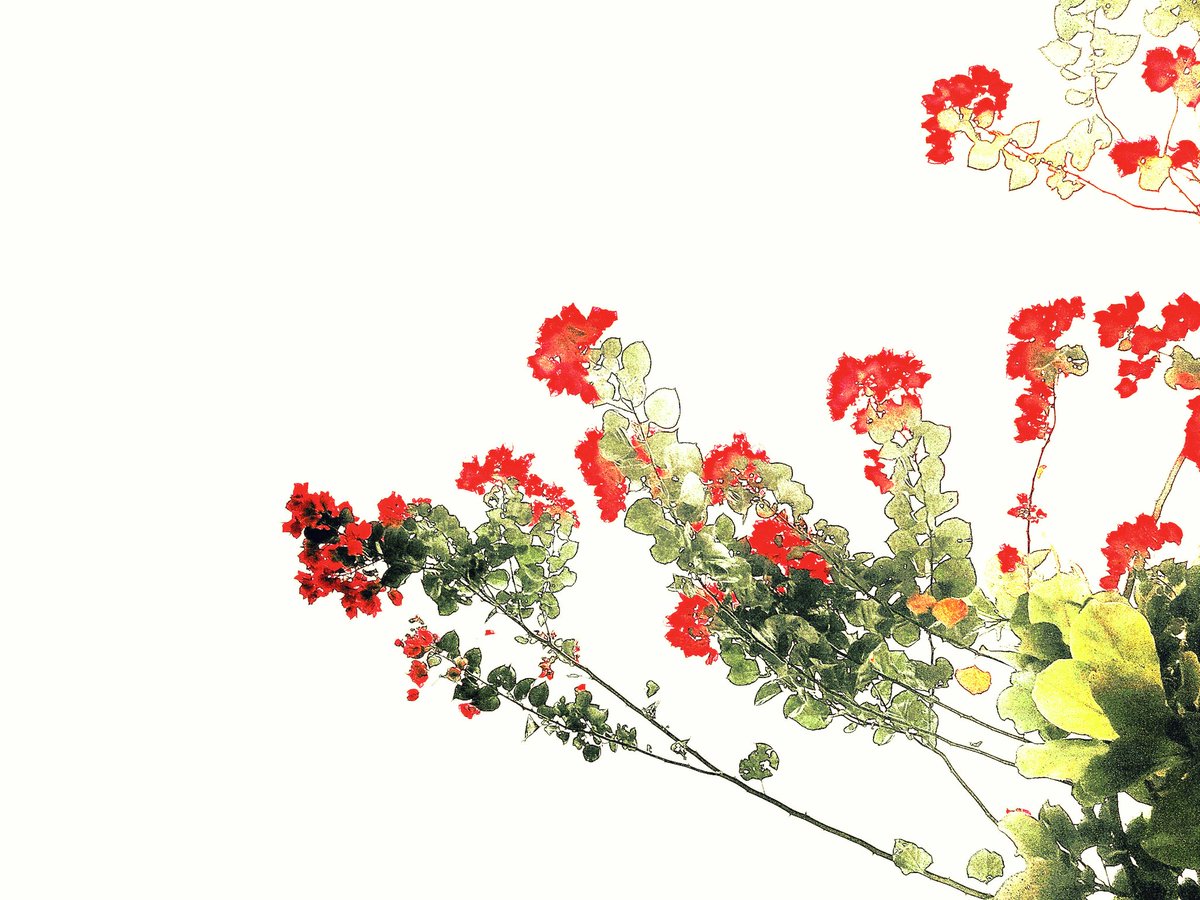 Prota7F's tweet image. 