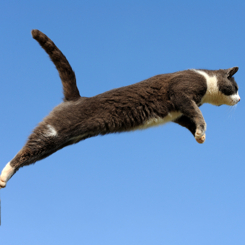 Workin-in.AI tweet media