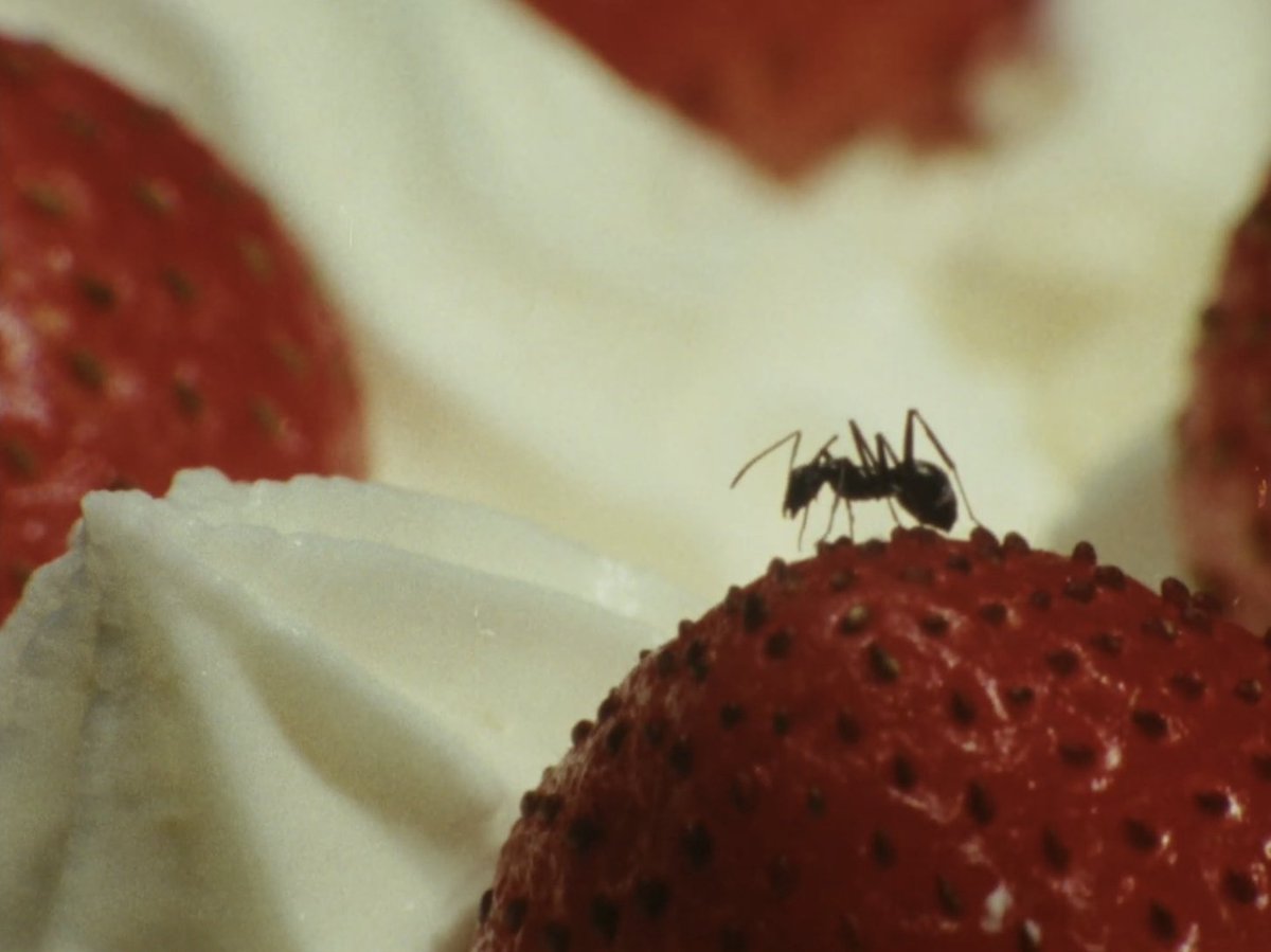 COMING SOON: 4 FILMS BY SHINYA ISOBE

We're happy to present a showcase of <a href="/ShinyaIsobe/">磯部真也 Shinya Isobe</a>'s exquisite explorations of nature, duration and decay. 

Program: 
- dance (2009)
- EDEN (2011)
- For rest (2017)
- 13 (2020)

Sign up to watch online from Dec 15-29: patreon.com/ultradogme