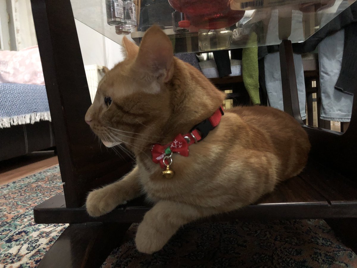 Yılmbaşı plamları yabıldı mı kamkimler 🎄🤶