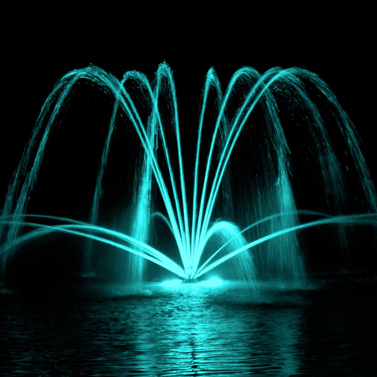 Winter comes in many temperatures, but beauty shows up in all of them.

Considering a unique Christmas gift? Aqua Control fountains offer a timeless upgrade for residential and commercial spaces, turning any space into a destination.

Call 800-377-0019

aquacontrol.com
