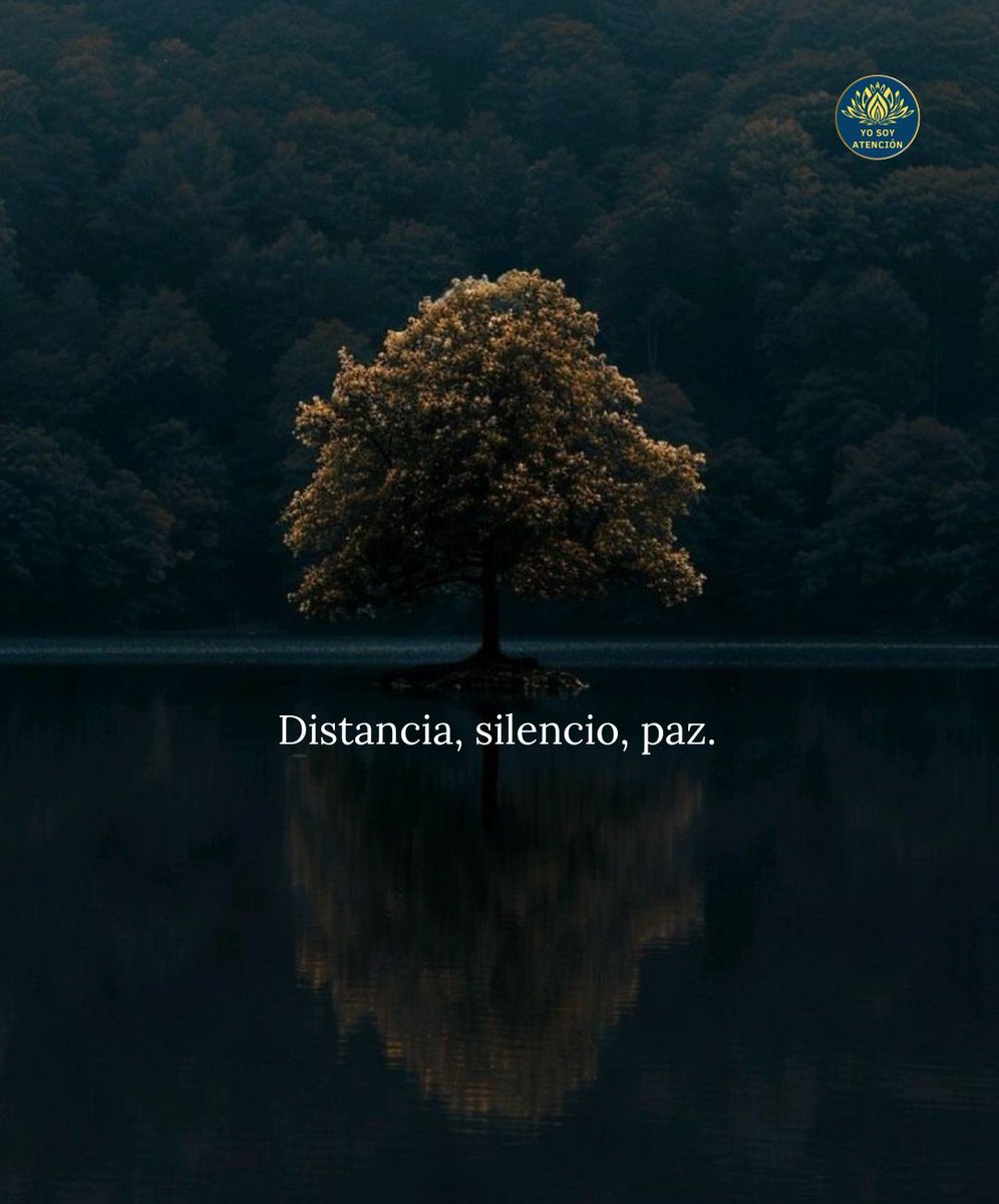 AtencionYoSoy's tweet image. 🪷