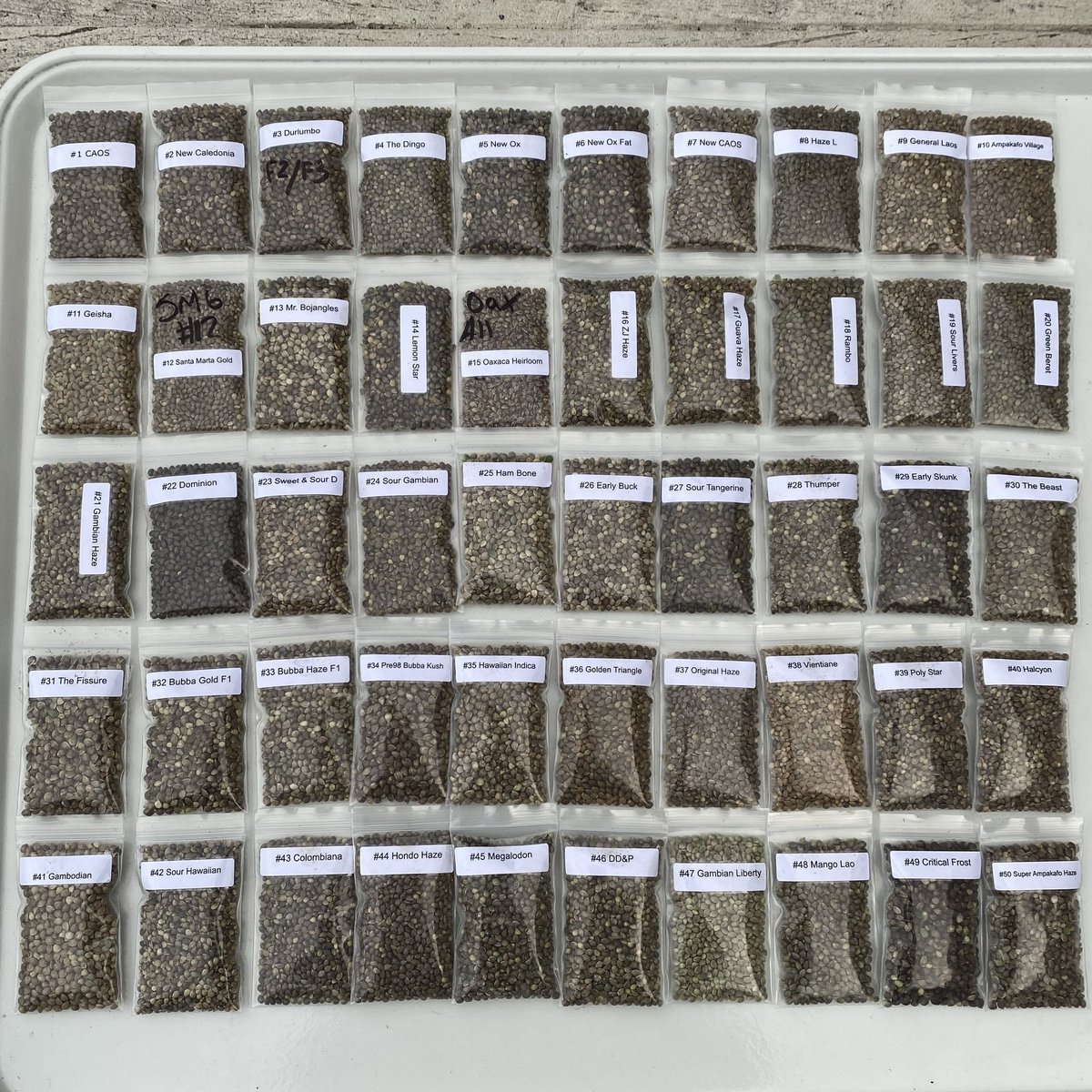 ledobrands's tweet image. HUGE Contest, By FAR biggest yet, total prizes of &amp;gt; $4,000, every contest we have delivered our promise to numerous winners now, this can be easily verified, this is not some scam finance account offering up meme or bitcoins to the sheep followers in mass never to deliver, we are…