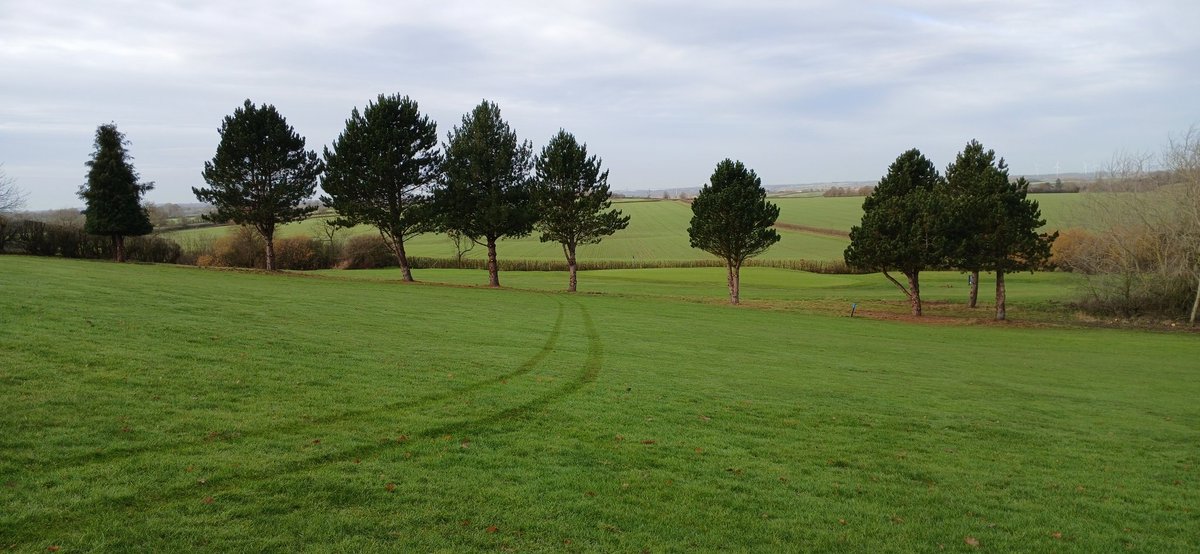 Ashley Hammond tweet media