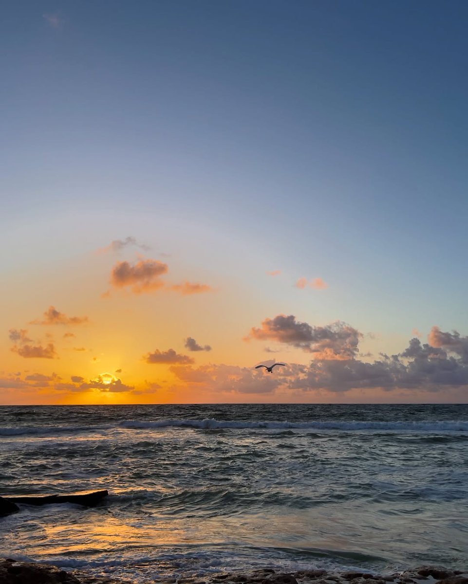 «الغروب اللي يخلّي البحر يحكي ألف حكاية»
Sidi Gaber, Alexandria.