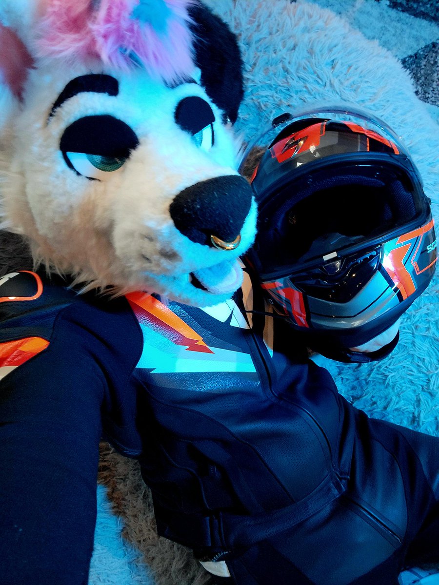 Bruce_TSHD's tweet image. PASSED MY AVB!!!
Onwards to the next exam ^^
#FursuitFriday