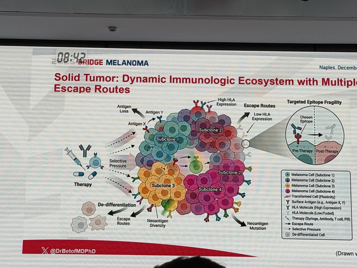 BernardAFox's tweet photo. @DrBetofMDPhD #Melanoma  immunotherapy expert @Stanford gives brilliant defense of TIL vs TCR-T or CAR-T cell therapy/Concept is #TIL are polyclonal and can better deal with variants: see slides/+ patients with CR have 96% 10 yr disease-free survival (NCI Surgery Branch data). https://t.co/Y6sk0JwlMr