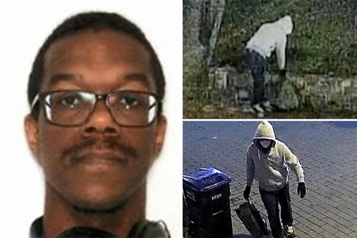 DC pipe bomb suspect admits to planting devices outside DNC ...