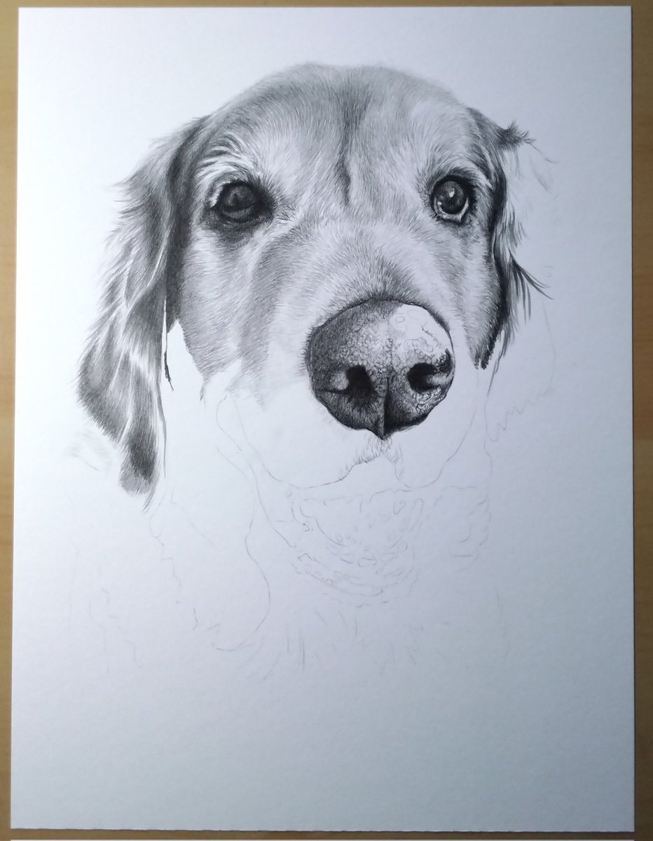 #wip more on Witten this morning 💕🐶🐾🌈