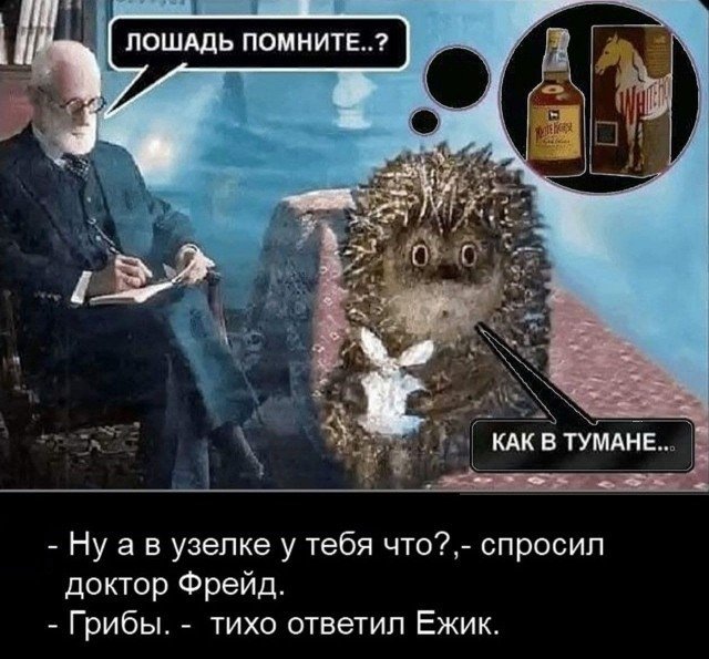  iВитька 🇷🇺 (@bulletproof2k) on Twitter photo 