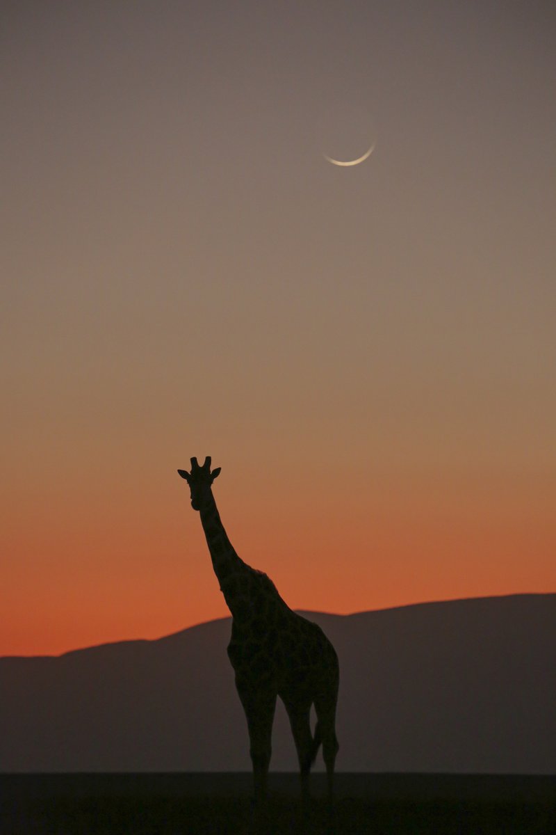 Simon Reeve tweet media