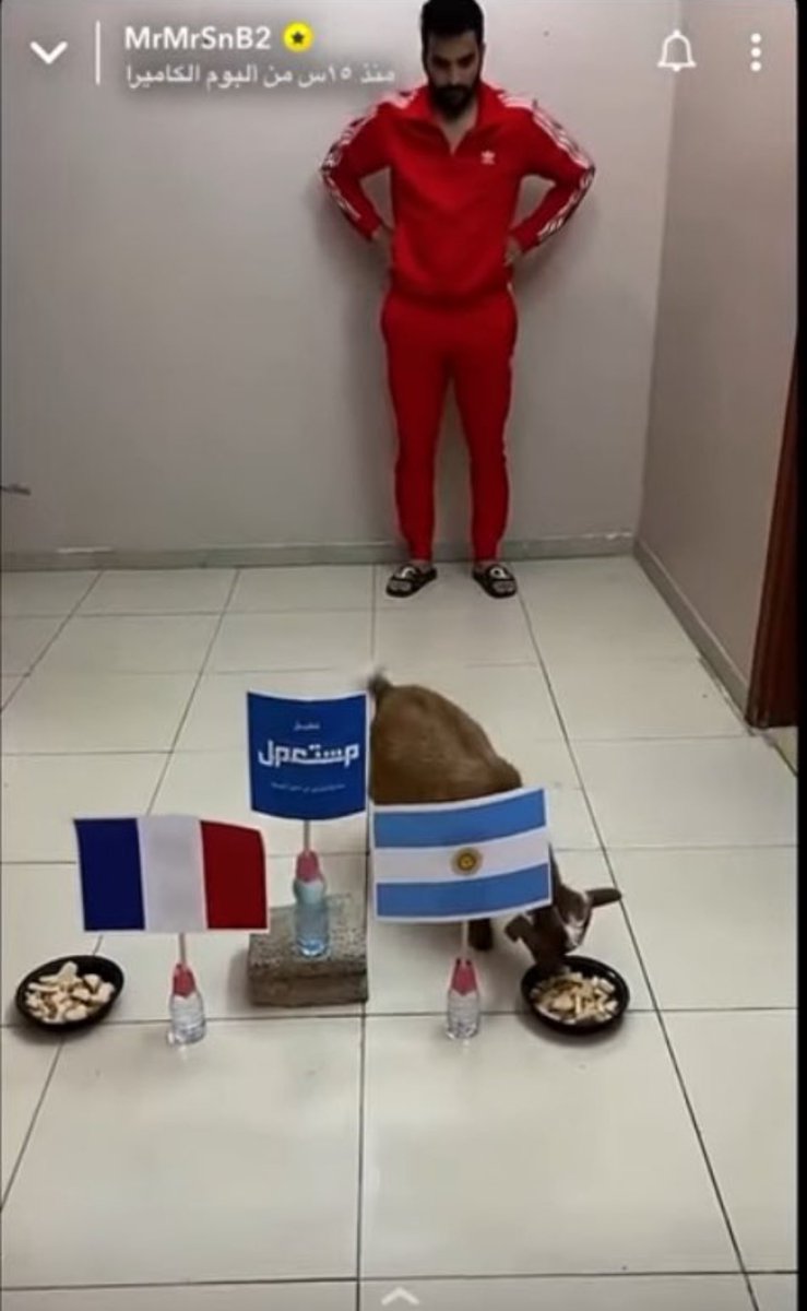 على طاري المونديال من يذكر توقعات تيس مستر شنب