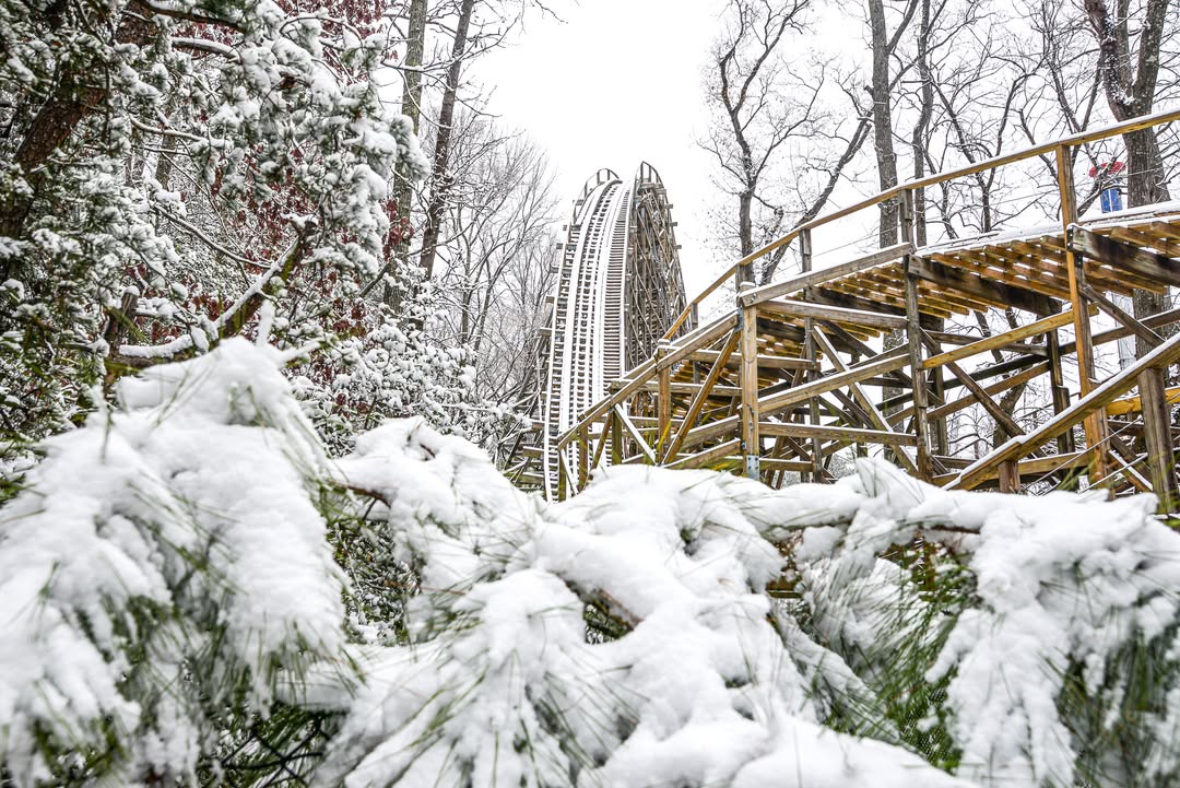 Kings Dominion tweet media