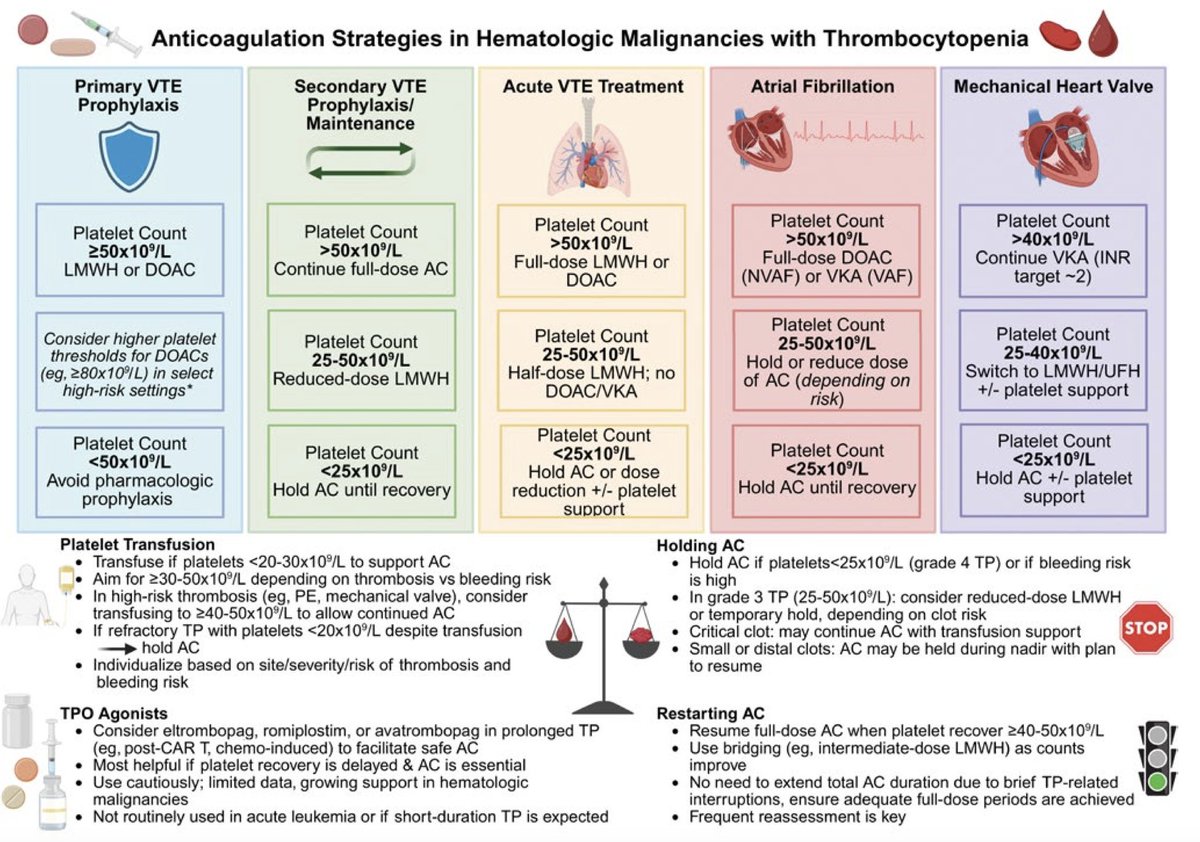 Anticoagulation strategies in hematologic malignancies with thrombocytopenia

Very nice summarised figure
#ASH25 
<a href="/Ruah_Mahmoud/">Ruah Alyamany | روى اليماني</a> 
<a href="/dhoughton/">dhoughton</a>