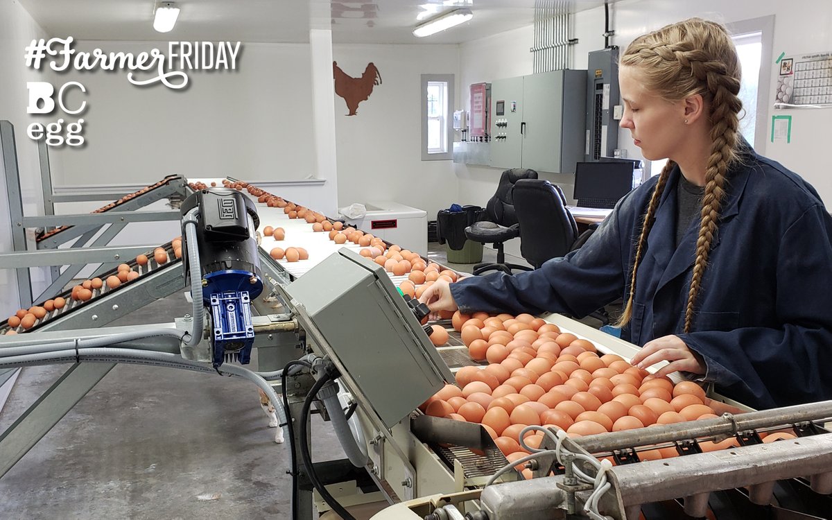 When you sit down to breakfast or brunch tomorrow, will you be having eggs? Do you wonder where those eggs came from? Chances are a farmer in your community is busy in their barn at that same moment, packing the eggs that will end up on your table next week. Happy #FarmerFriday!