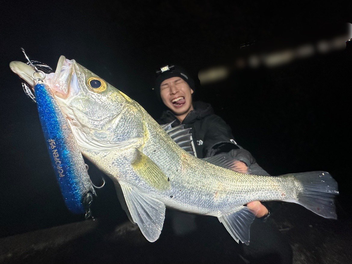 yosuFishing's tweet photo. ポポペン→ PPP

#魚が小さいんじゃない
#ポポペンがでかい

#写真詐欺 https://t.co/wukcIzZxb0