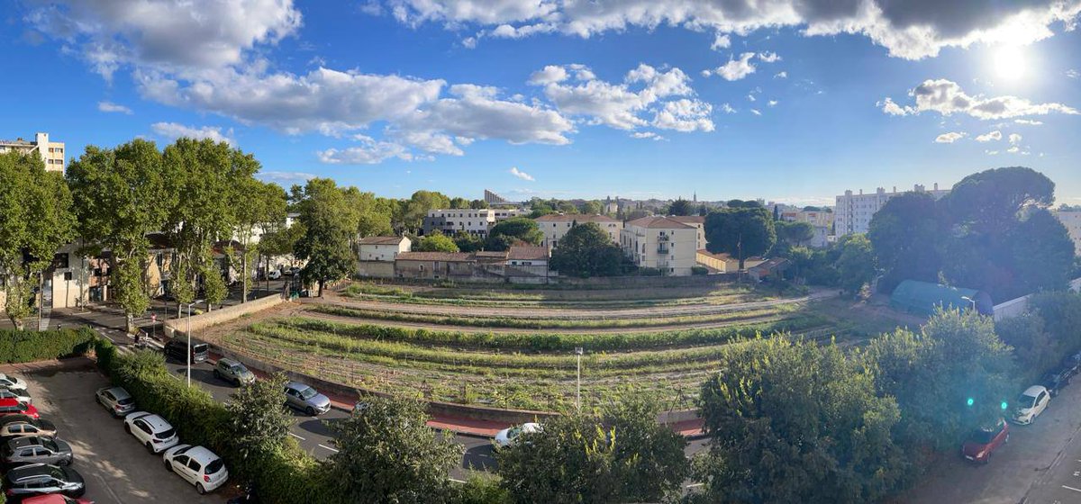 Il y a 2 mois, je rencontrais le collectif de la #CitéBergère. 

Aujourd’hui, un vœu va enfin être déposé au dernier conseil municipal pour protéger cette terre menacée.

Deux visions s’opposent : la ville marchandise de <a href="/MDelafosse/">Michaël Delafosse - Maire de Montpellier</a> ou la ville bien commun.

Nous avons choisi 🌱