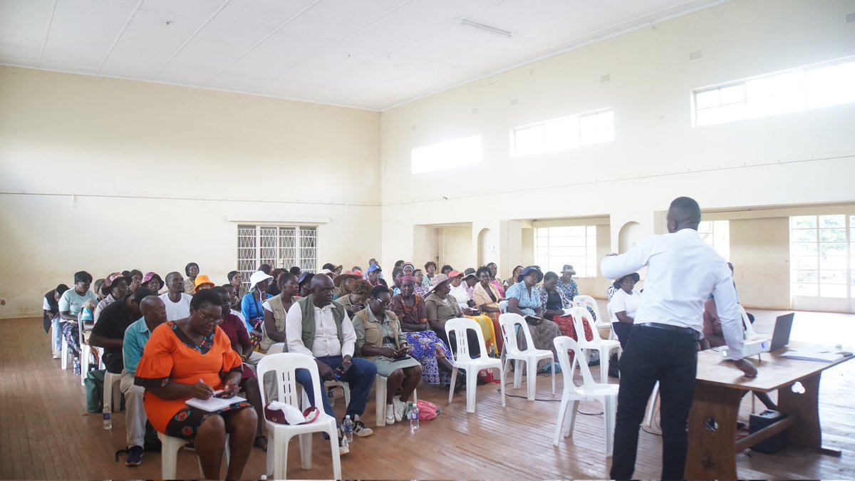 @blessingchiwara tweet media