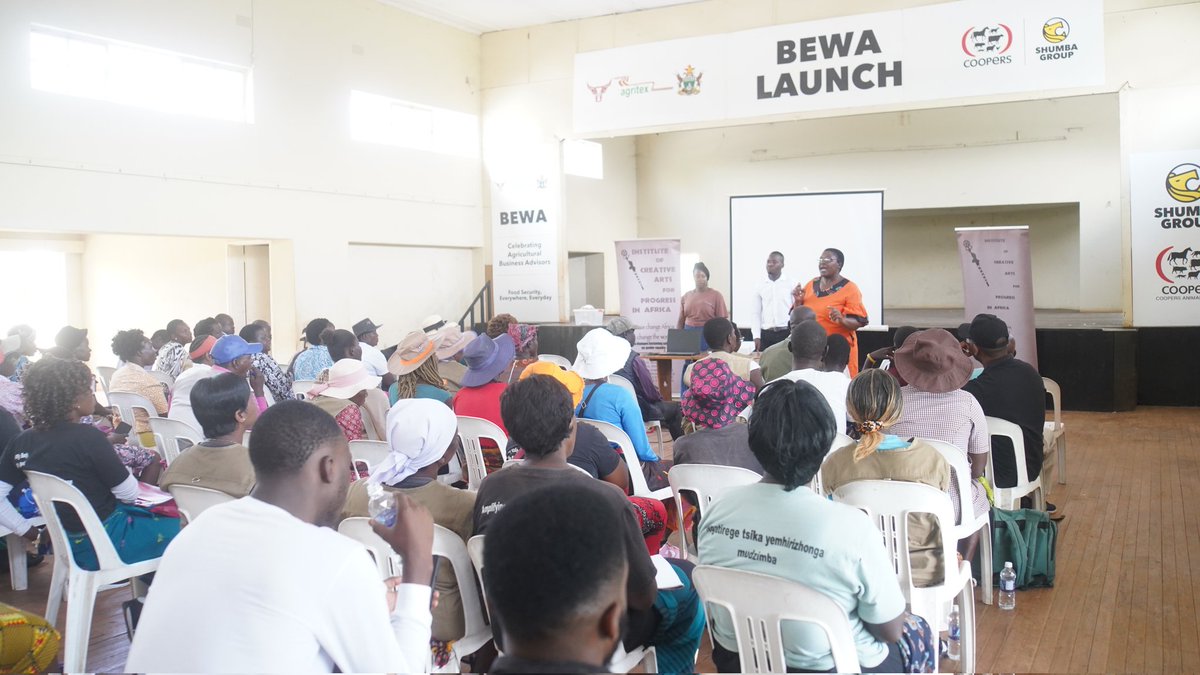 @blessingchiwara tweet media