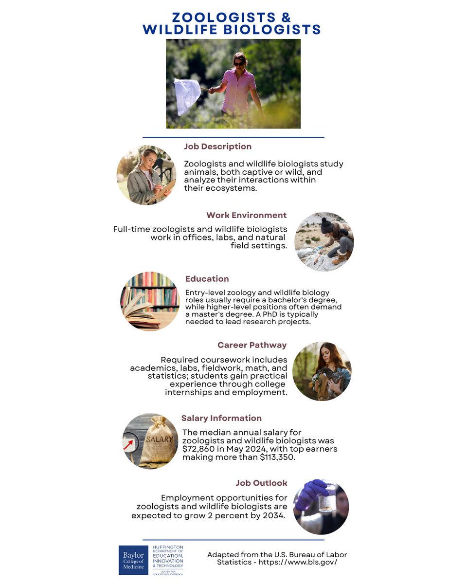 BioEd Online tweet media