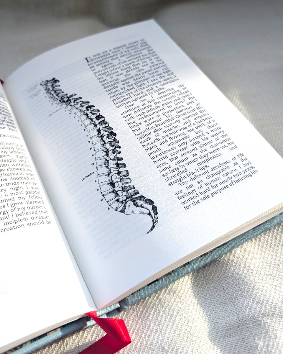 made my own personal copy of Frankenstein with my own art hehe

#frankenstein #frankenstein2025