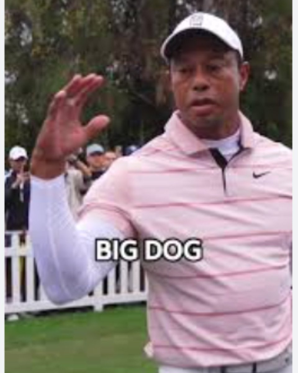 Chicago Blackhawks tweet media