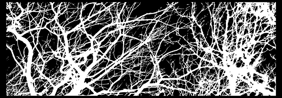 MurderRec's tweet photo. HMR180 | BEGRAVET I SKOGEN "Demo II" CASSETTE (OUT NOW)

Buy here at Hellstore Europe:
https://t.co/xzZyZhpjtw

Stream for reviews and promotion:
https://t.co/qYmsdEM9ol

BEGRAVET I SKOGEN (Promo Videos)
https://t.co/jv2EB4FNN5
https://t.co/IUvQHRnCBq - https://t.co/mHo2ou7MTl https://t.co/4QiOVLJFCp