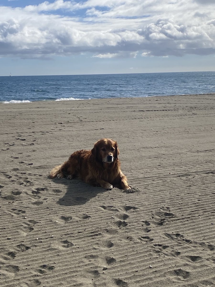 Robin Taylor tweet media