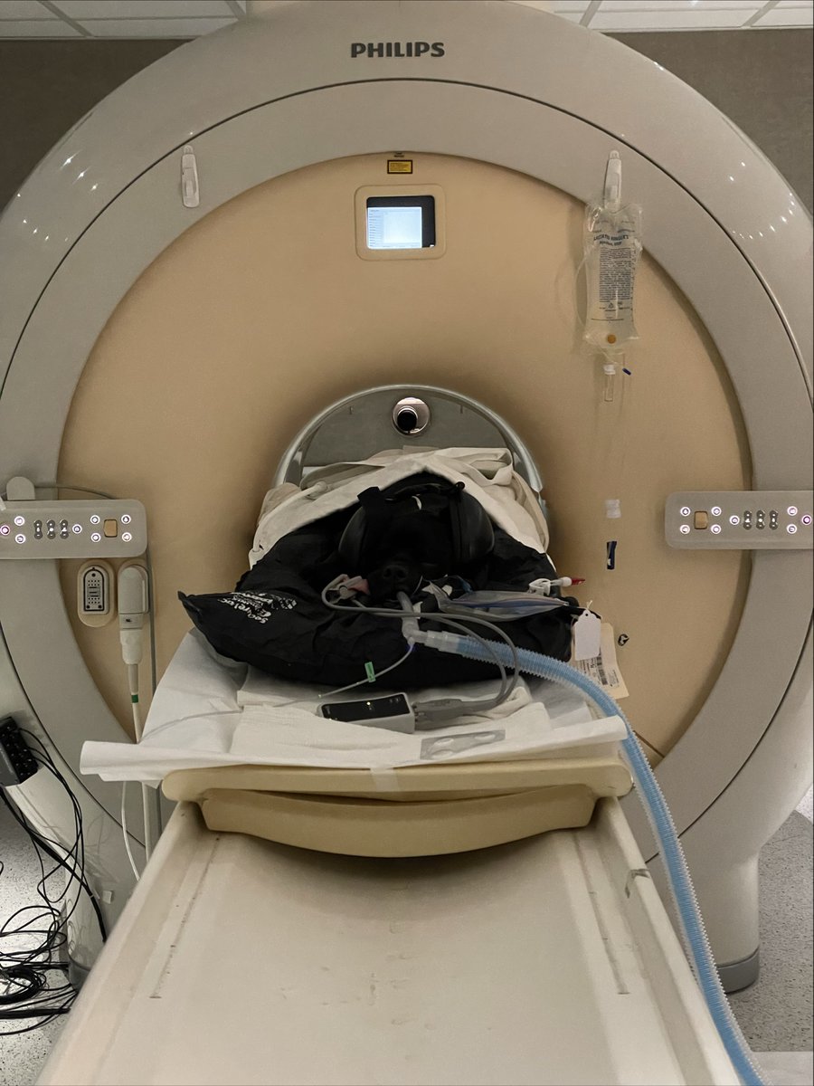 UTSW Veterinary Research and Oncology Clinic tweet media