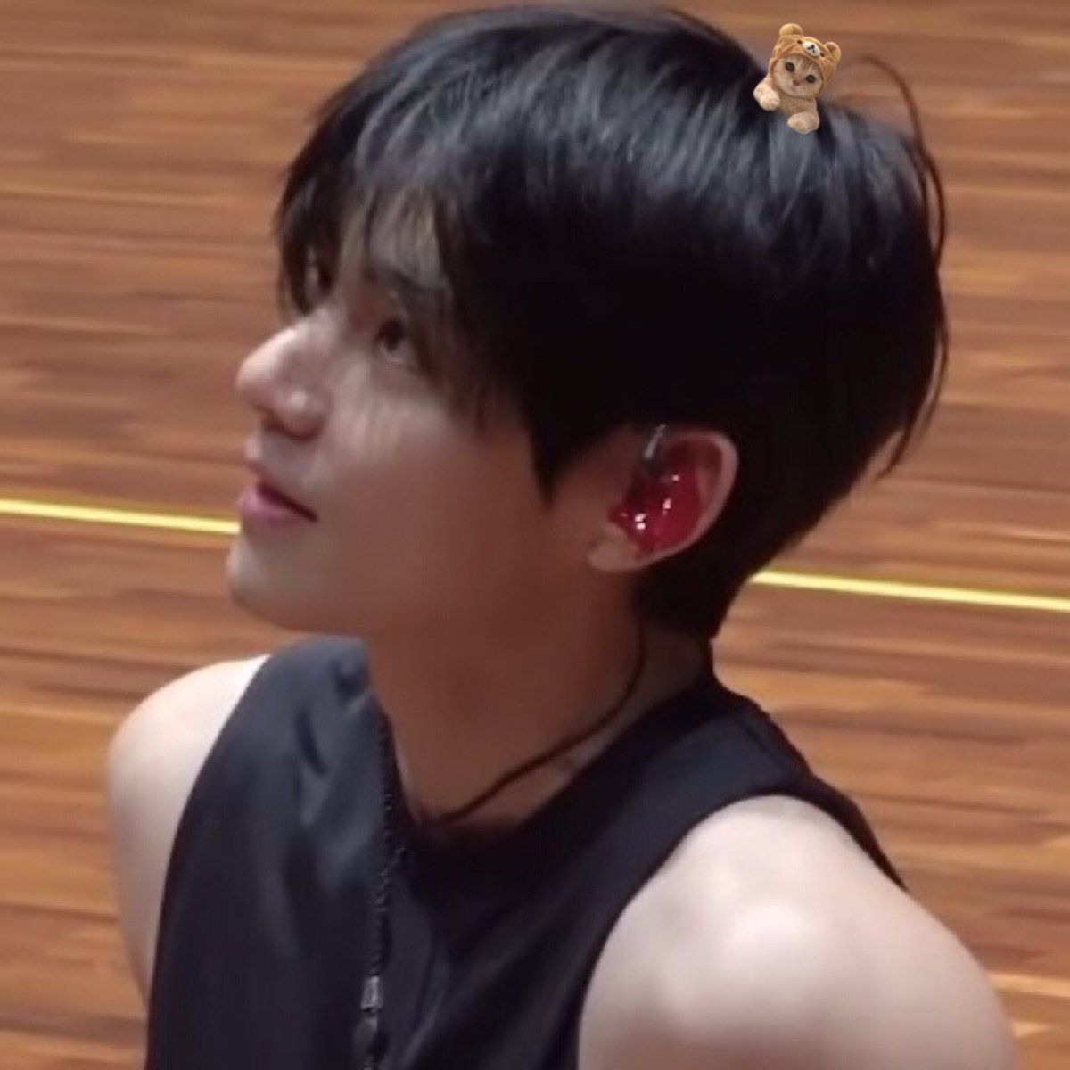 vantelom1's tweet image. my cat