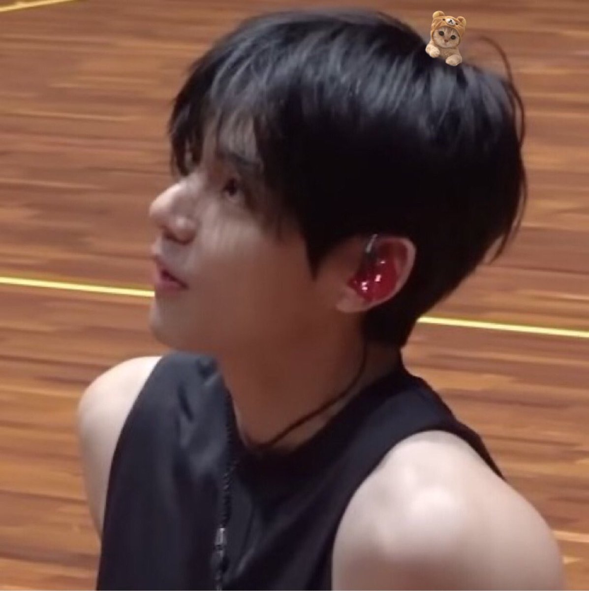 vantelom1's tweet image. my cat