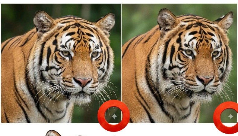 itsthepasta's tweet photo. @Vikas2323tomar Soo.... You just happened to mirror your "source" and it just so happened to look exactly like Masayo-sensei's work.

Also you didn't even bother to remove the Gemini watermark from your "source". It's just blatant theft at this point.
Disgusting. https://t.co/jT5SFiLL6U