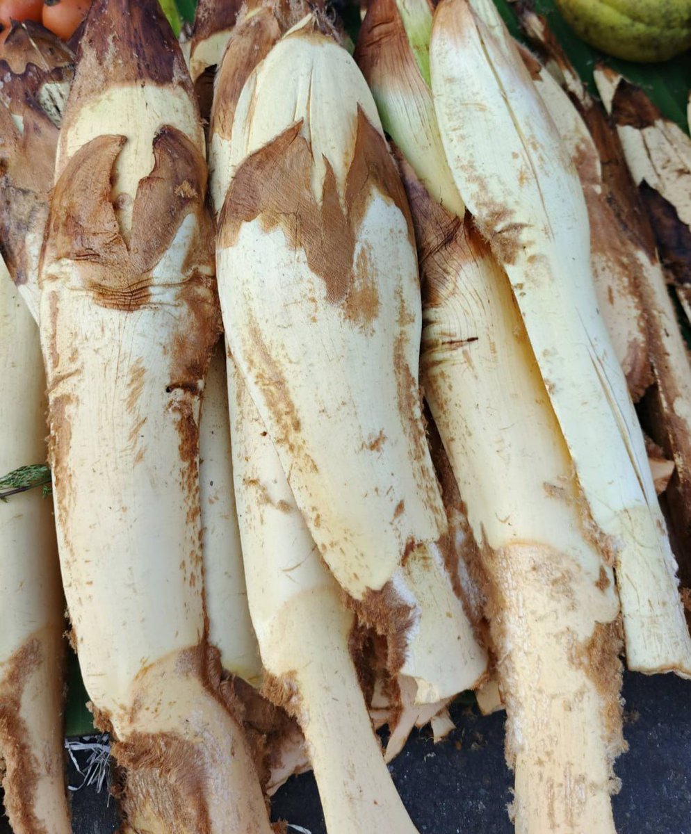 Suyuyan2002's tweet image. 这个中文叫什么？