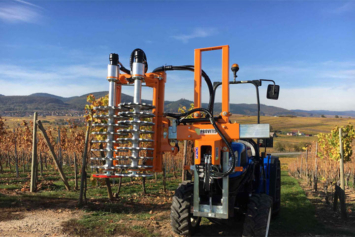 Maxideza tweet media