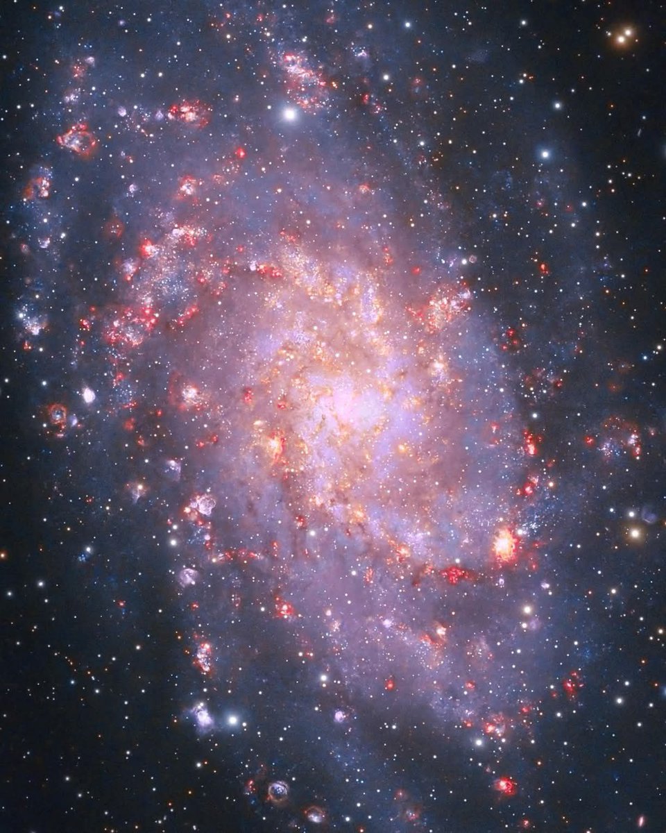 Nearby Spiral Galaxy M33
Kurt Kimbrell (IG: <a href="/gorilla_astro/">Kurt Kimbrell</a>)
Joshua, Texas, USA
70+ hours of exposure